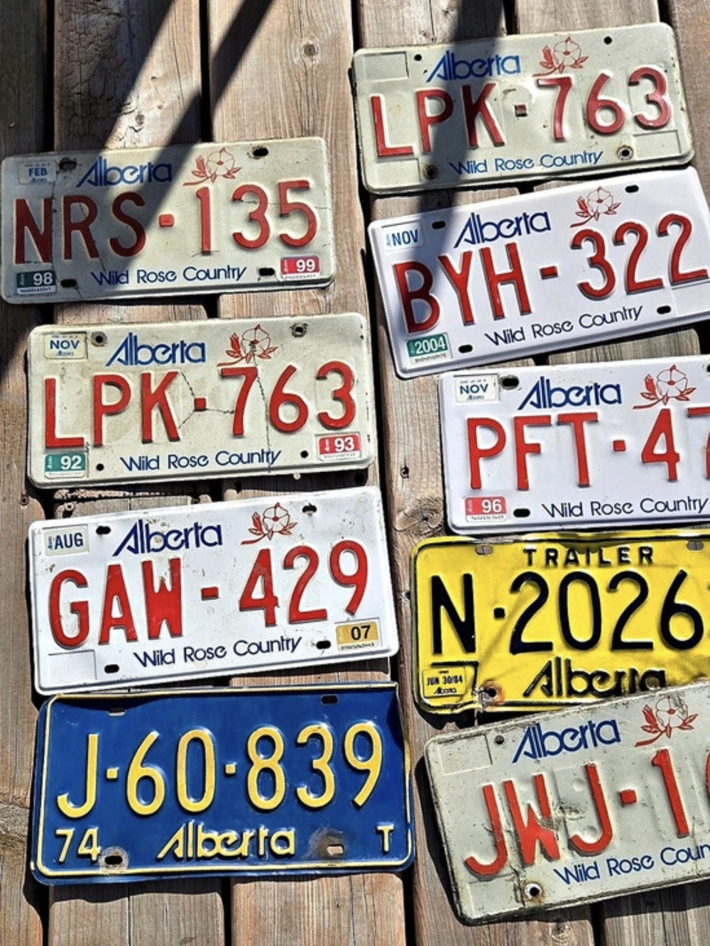 Vintage License Plate Collection Decor